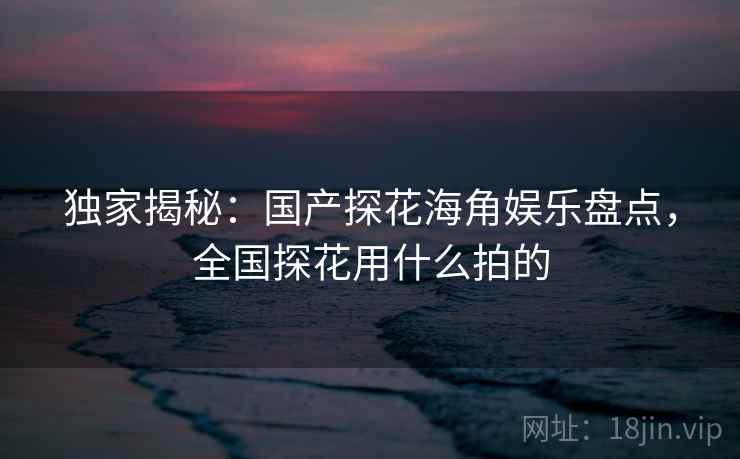 独家揭秘：国产探花海角娱乐盘点，全国探花用什么拍的