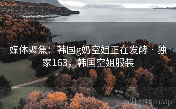 媒体聚焦：韩国g奶空姐正在发酵 · 独家163，韩国空姐服装